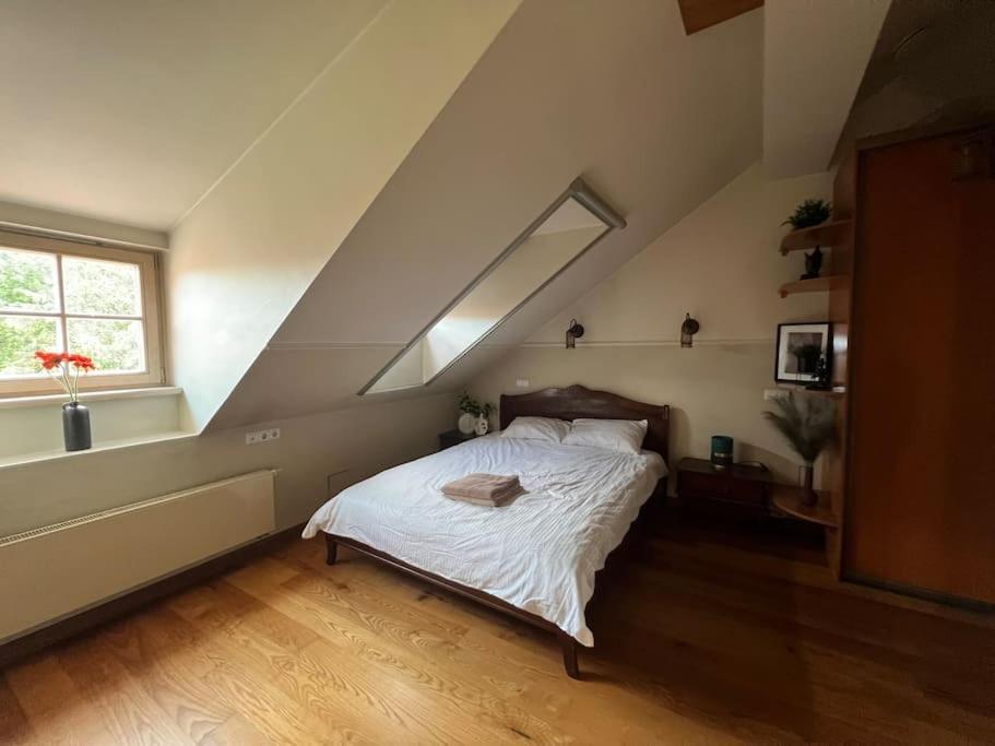 Old Town Apartment With Free Parking Wilna Exterior foto